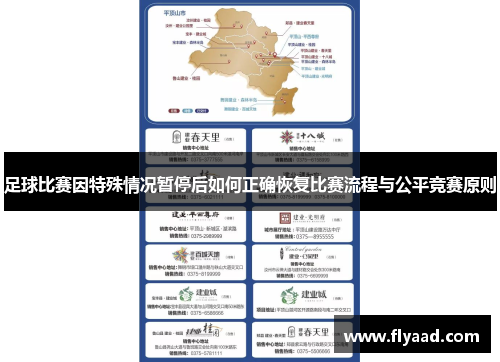 足球比赛因特殊情况暂停后如何正确恢复比赛流程与公平竞赛原则