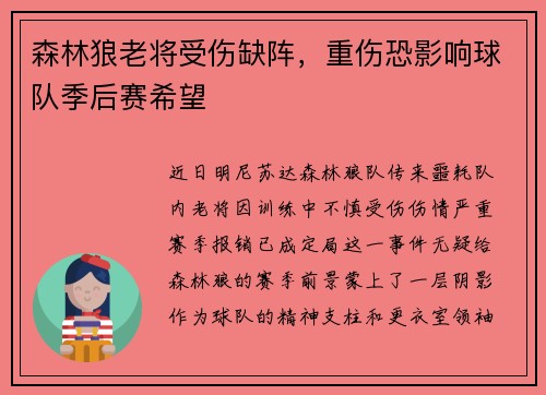森林狼老将受伤缺阵，重伤恐影响球队季后赛希望